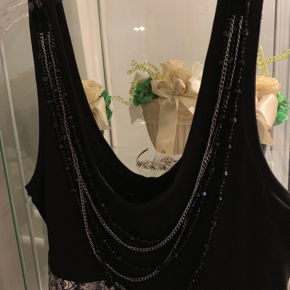 Express Dress - Picture 4 of 4